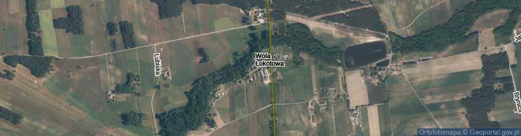 Zdjęcie satelitarne Wola Łokotowa ul.